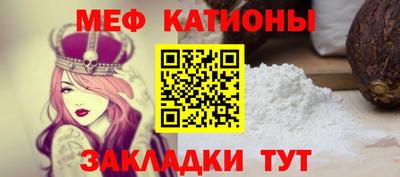 мдпв Камышлов