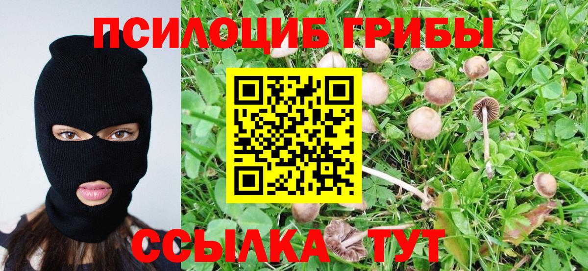 Галлюциногенные грибы Cubensis Лангепас